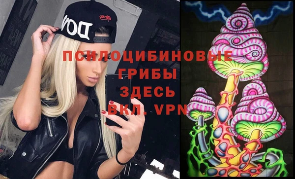 прущий лед Ветлуга