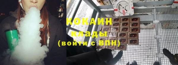 ALPHA PVP Покров