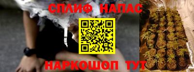 прущие грибы Азнакаево