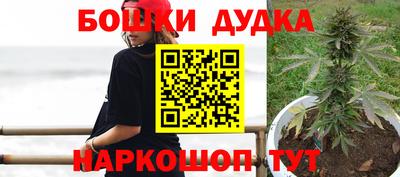 прущие грибы Азнакаево