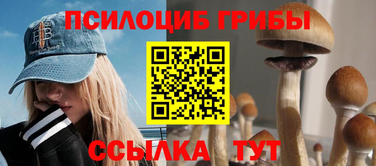 Псилоцибиновые грибы GOLDEN TEACHER Алатырь