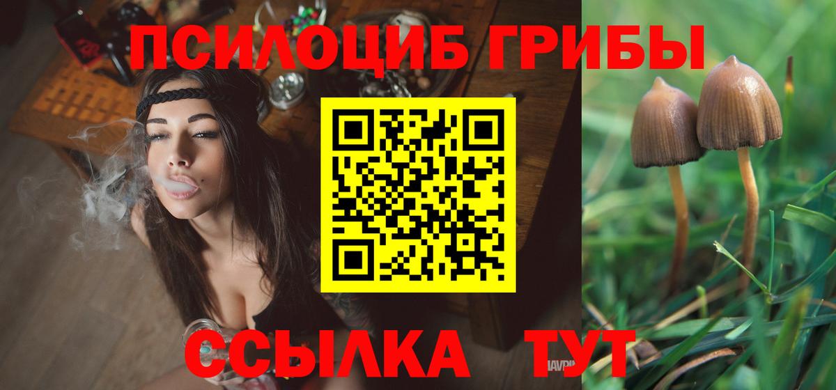 Псилоцибиновые грибы MAGIC MUSHROOMS Алатырь