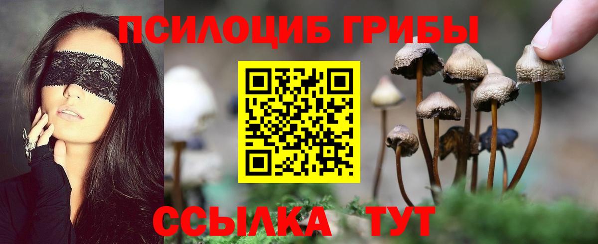 Алатырь  Псилоцибиновые грибы Cubensis  Псилоцибиновые грибы ЛСД  Вход с VPN 