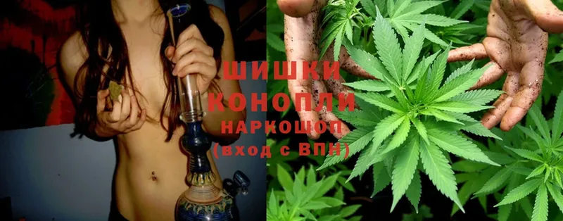 где купить наркоту  Алатырь  Канабис White Widow 